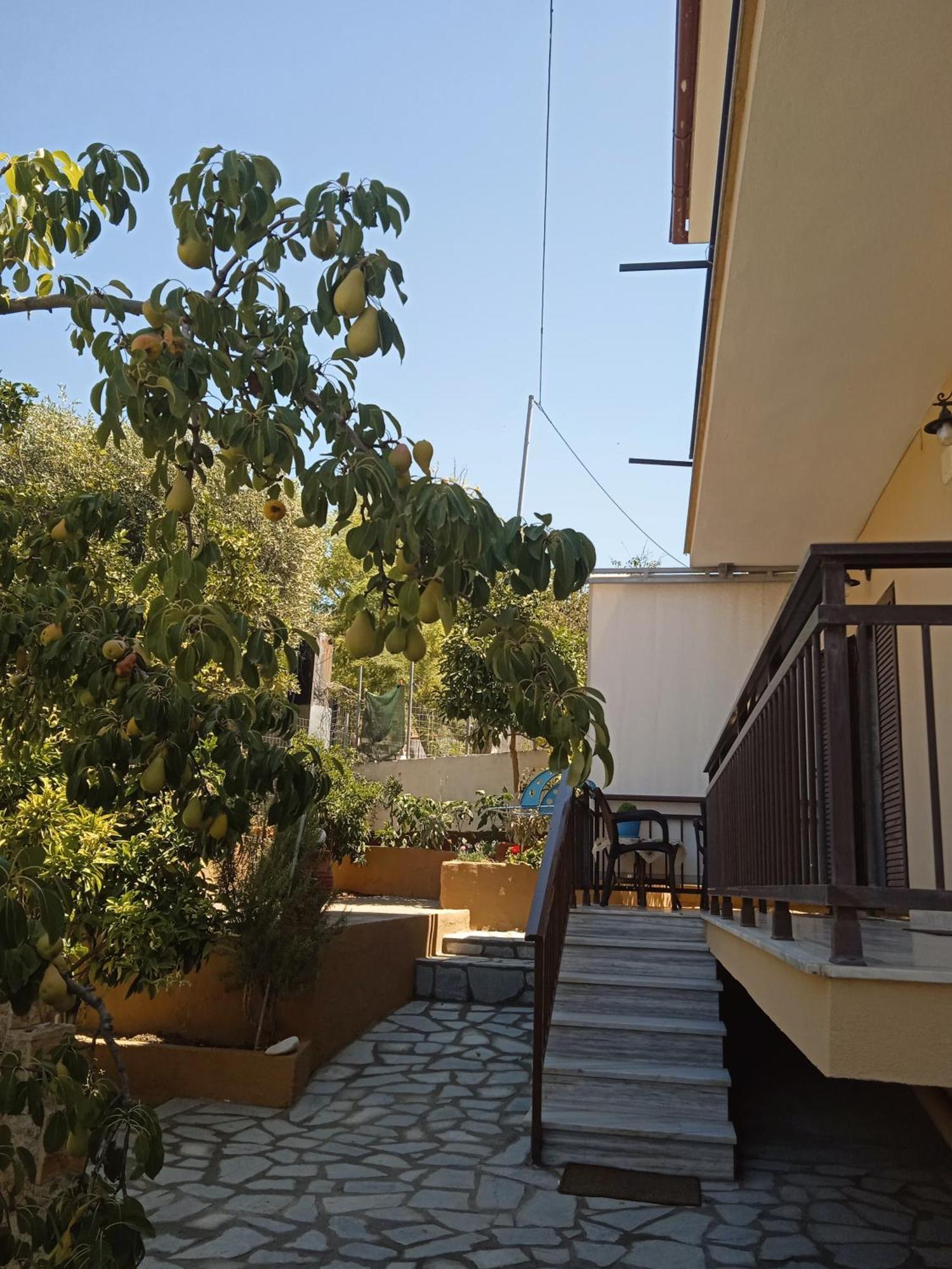 Dimitra'S Garden Apartments Skála Kallirákhis Zewnętrze zdjęcie
